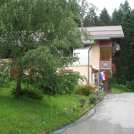 Apartment Medo Ravna Gora Buitenkant foto