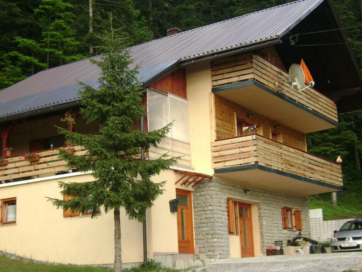 Apartment Medo Ravna Gora Buitenkant foto