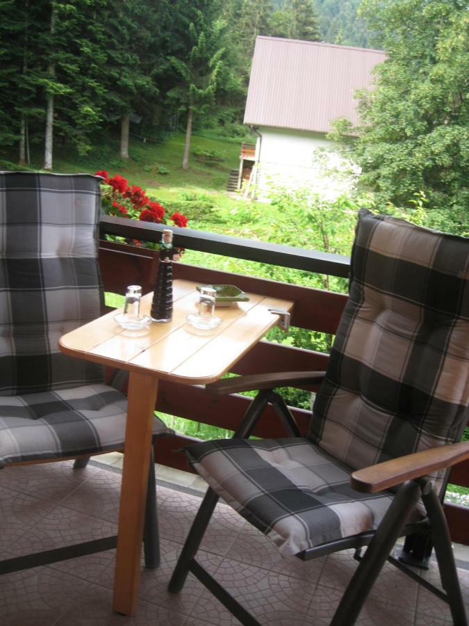 Apartment Medo Ravna Gora Buitenkant foto